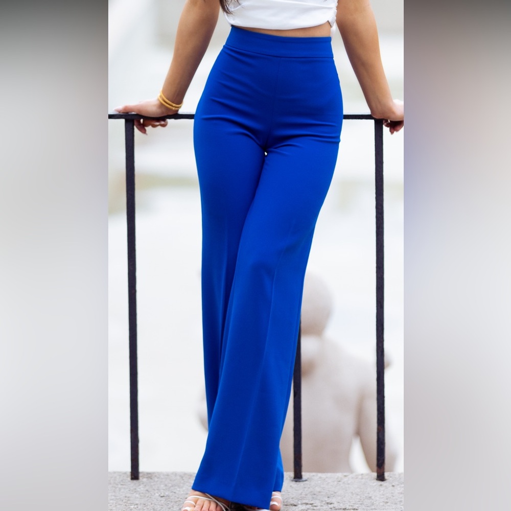 Zara Wide Leg Dress Pants